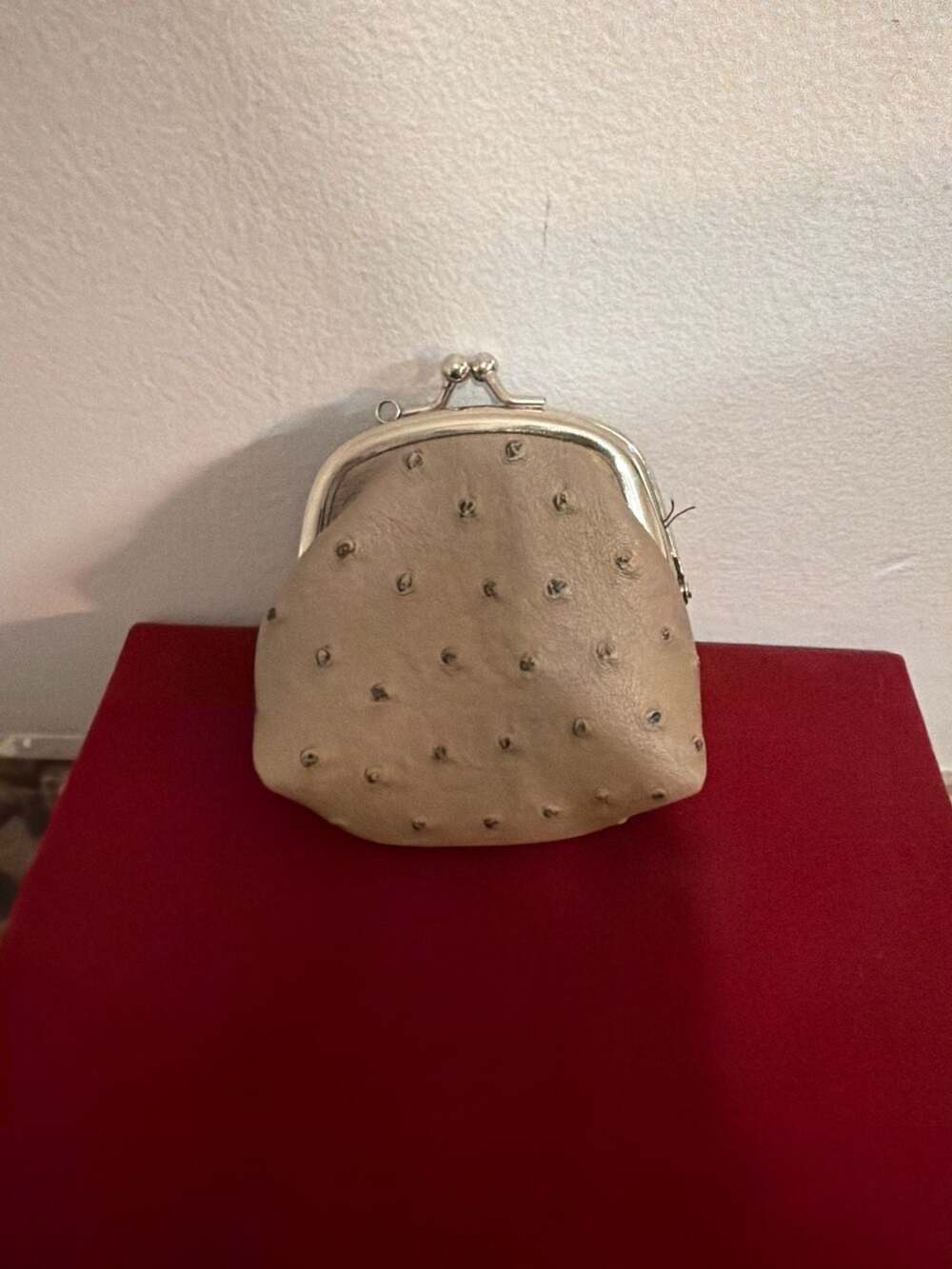 Vintage Genuine Ostrich Leather Kiss Lock Coin Purse